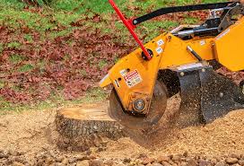 Best Tree and Shrub Care  in Westlake, TX